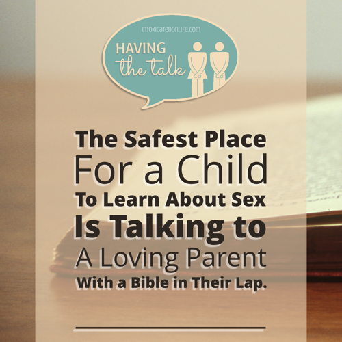 Scared to talk to your kids about sex? Yeah, every parent feels that way. How do we bring up the topic? How do we make sure we’re not sharing “too much, too soon”? This post shares about a wonderful new step-by-step method for parents to—easily!—share with their kids about God’s plan for sex. So much wisdom here for all Christian parents!